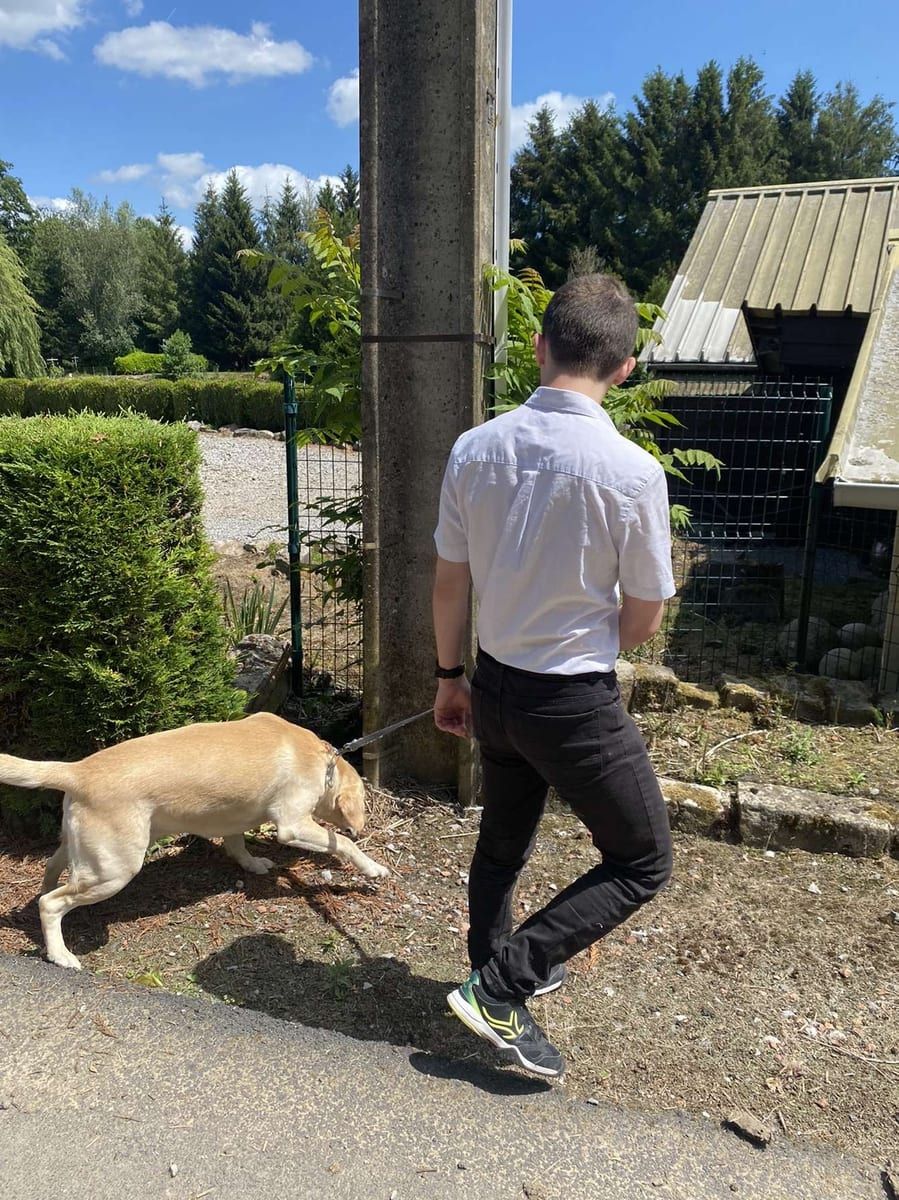 Profil de Anghjulu